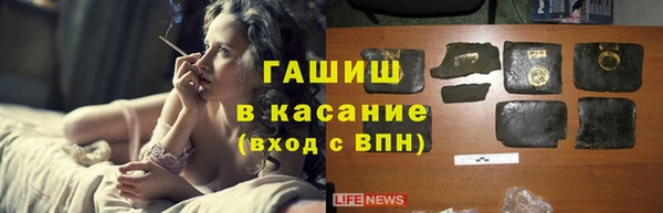 гашик Осинники