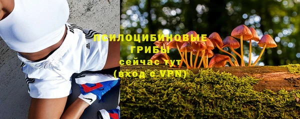 Альфа ПВП Остров