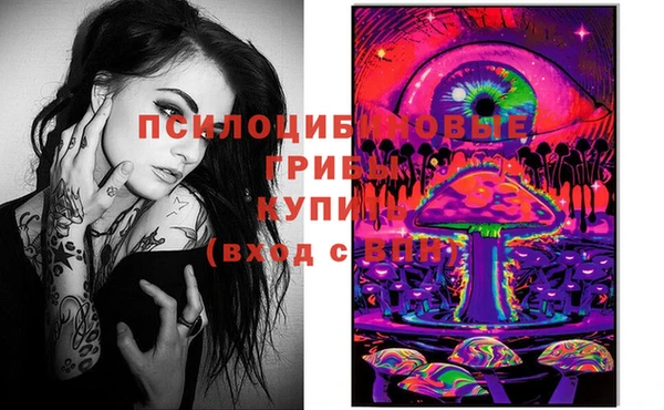 дживик Балахна